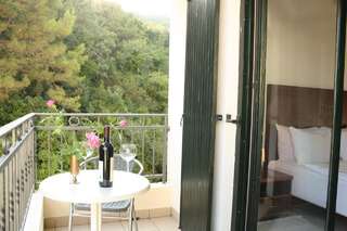 Отель Hotel Danica Петровац Стандартный двухместный номер с 1 кроватью-8